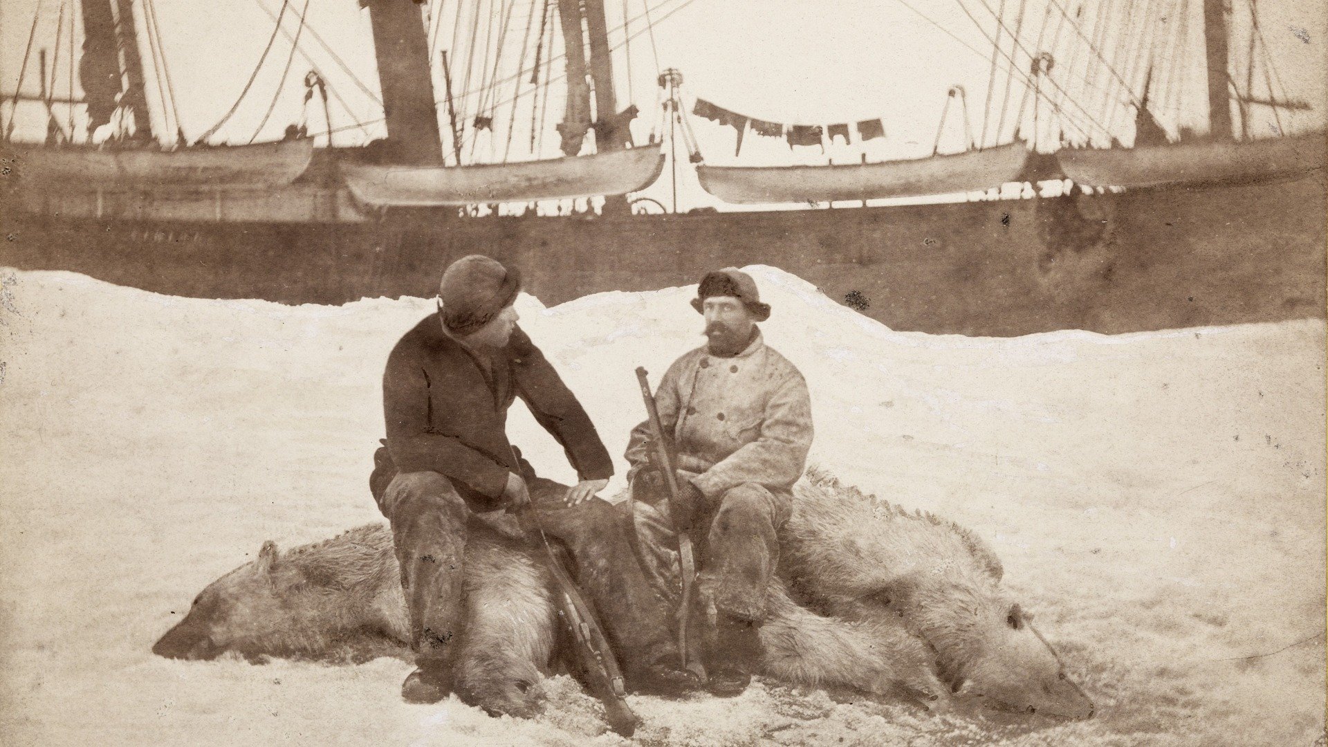 Нансен (слева) и капитан Крефтинг на убитых медведях. На заднем плане — затёртый во льдах «Викинг». Май-июнь 1882 года. Фото: архив