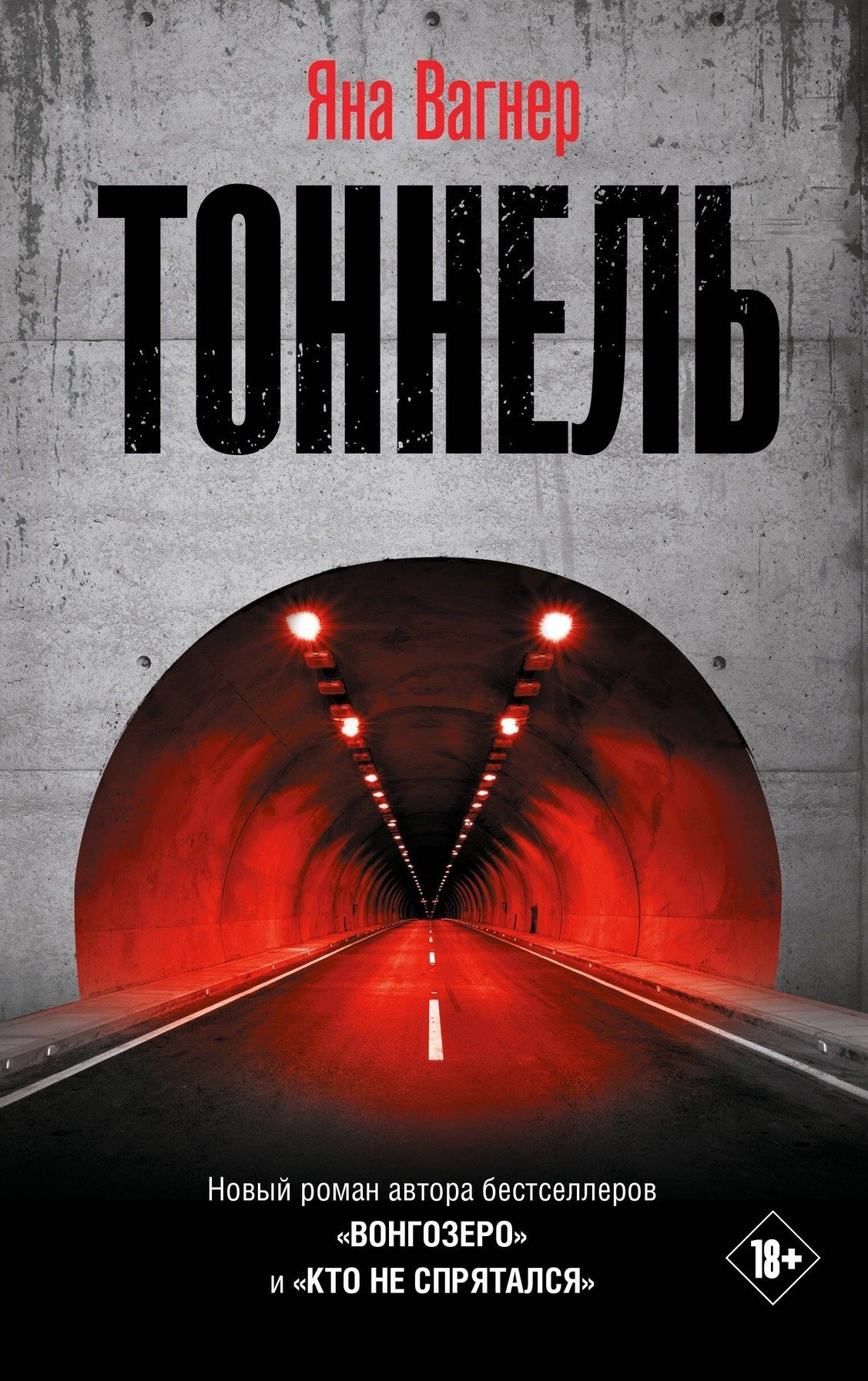 Обложка книги «Тоннель»