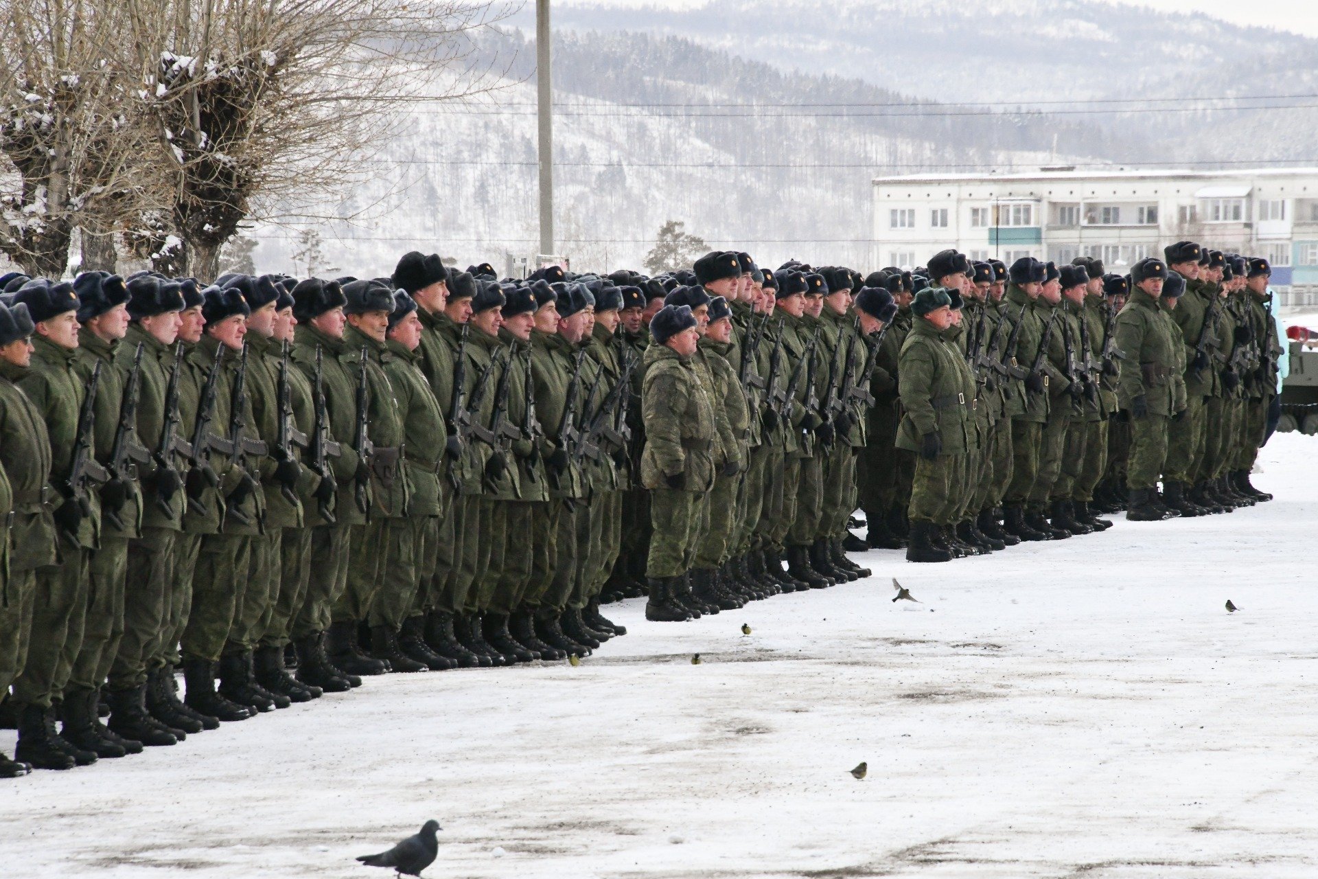 Фото: Евгений Епанчинцев / ТАСС